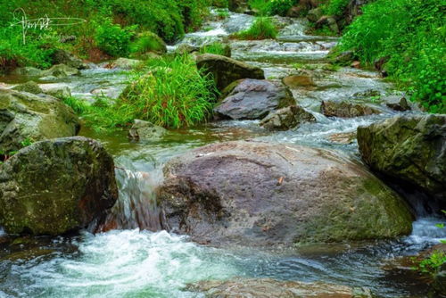 夏日炎炎，龙眠的夏天正版，清凉一夏，尽情畅游龙眠的美丽景色！