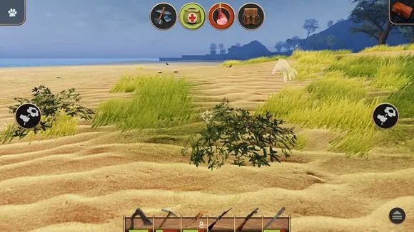 深度攻略：揭秘辐射岛存活秘诀，如何在荒野之中建造你的避难所