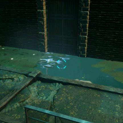 (方舟中心岛最隐秘的建家地方)探秘神秘之岛：方舟中心岛隐藏着怎样的秘密与传说？