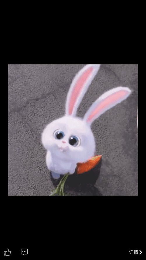 泰兔剧或豚豚剧：探究动物在影视作品中的表现与意义