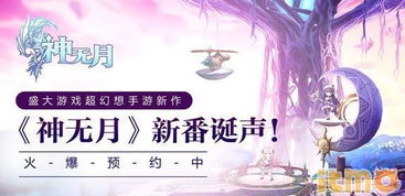 (妄想嘉年华企划)揭秘妄想嘉年华组委会：如何策划一场盛大而梦幻的文化盛宴