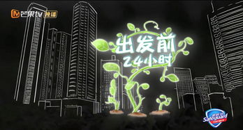 揭秘最高舞台卡面：设计精良、制作精美的背后故事及制作技术揭秘