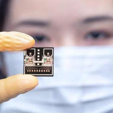 (探索卓越世界阵容的丰富多样性和无限可能性)探索卓越世界阵容的丰富多样性和无限可能性 (探索卓越世界阵容的丰富多样性和无限可能性)探索卓越世界阵容的丰富多样性和无限可能性