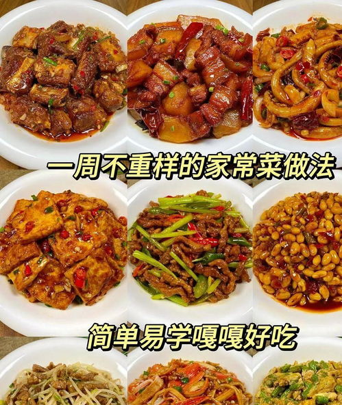 (简单易学家常菜做法大全)简单易学 家常菜菜谱 大全100道菜 保证让你轻松成为厨房小能手 (简单易学家常菜做法大全)简单易学 家常菜菜谱 大全100道菜 保证让你轻松成为厨房小能手