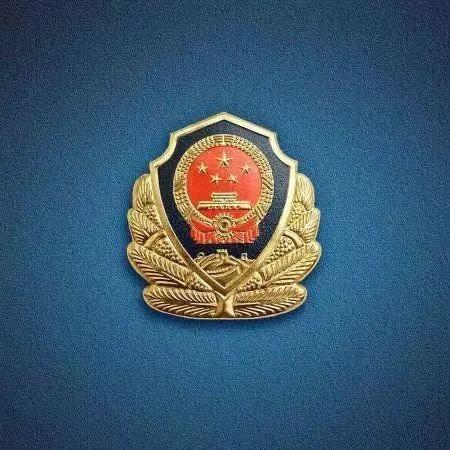 (全境警戒在线观看完整版)全境警戒电影免费观看，感受警察严打的力量与黑帮的残忍！