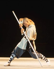 (韦佛式据枪法)掌握技巧，提高命中率：探讨韦佛式射击法的实用性