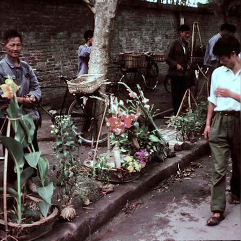 (三国游戏大全游戏)三国系列游戏大全：探索三国历史，感受群雄逐鹿的震撼战场