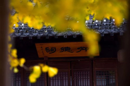 (弥留之际攻略)探寻历史痕迹：弥留之都──一个沉浸在过去荣耀中的城市