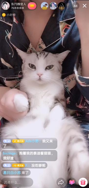 (萌宠主播有哪些)有哪些热门的萌宠直播平台？