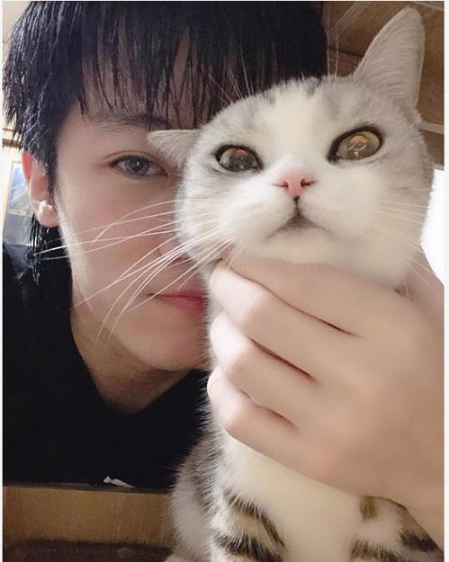 (萌宠主播有哪些)有哪些热门的萌宠直播平台？