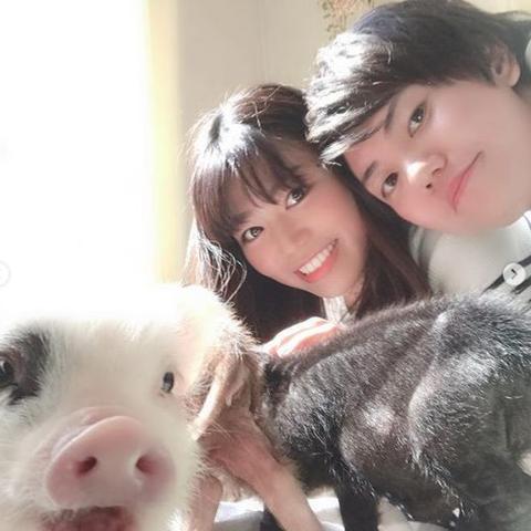 小浣熊官网入口网页版：最全面最便捷的小浣熊官方网站入口地址