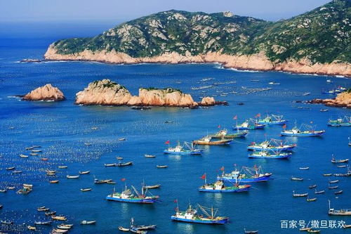 以我是一名航海家为主题：分享冒险旅程、航海知识与海洋环境保护的实践经验与理念