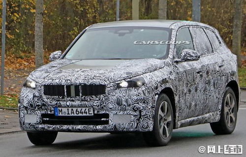 揭秘世界各国国家动物代号，揭示不为人知的有趣故事和背后的文化象征