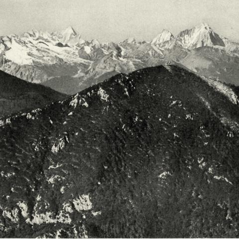 (《洛克王国》勇者大挑战)探秘洛克王国：勇者大冒险全BOSS攻略大全