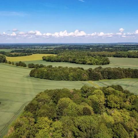 (s01e04模拟农场17大庄园视频)打造你的梦想庄园：探索农场模拟22游戏精彩玩法与策略