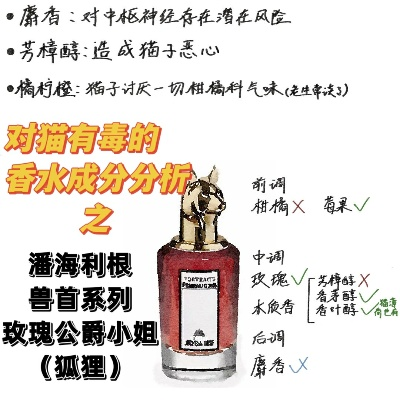 (香水 花香调)花香水猫调香考级攻略：让你轻松通过考试！