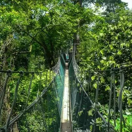 (精灵学院在哪)神秘的精灵学院梯子竟然发生了故障，无法继续使用