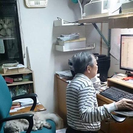 (遇见喵克斯兑换码)遇见喵克斯是正规的吗？别错过这部熟悉又新鲜的电影