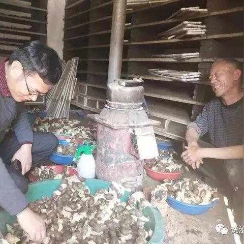 (寻找蜗牛)探寻蜗牛游戏中心官网入口，畅游精彩游戏世界