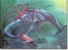 揭秘海怪大王乌贼的真相：揭秘神秘海底生物的真实身份和披露其惊人秘密