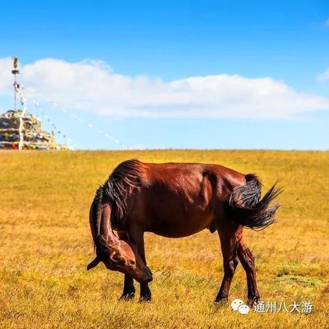 (探索之旅游戏)探寻风之旅人手机版下载之旅：林间探秘，穿越风光无限