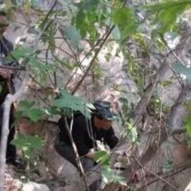 (腐朽之地第三关怎么过)探索腐朽之都手游：揭开城市秘密，挑战危险未知的冒险之旅