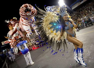 体验南美风情，领略狂欢节魅力——60秒带你穿越神秘世界，感受里约热内卢的独特文化 charm