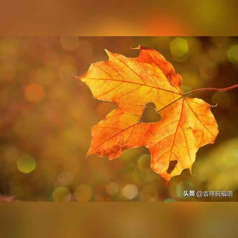 (雨中回忆的作文)在雨中回忆：记忆雨带来的那些温暖与感伤的瞬间