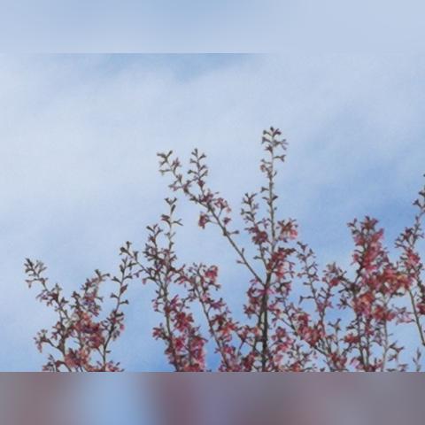 (无尽的冬季)冬日景点推荐：无尽冬日攻略详解大全，让你轻松玩转寒冬乐趣