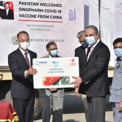 超级巴基球为何变黄？黄色是好还是坏？黄色的原因和解决方法是什么？