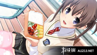 (秋之回忆5明日香b结局怎么打出来)秋之回忆5攻略，明日香攻略536：探寻秋日回忆中的游戏奇幻之旅