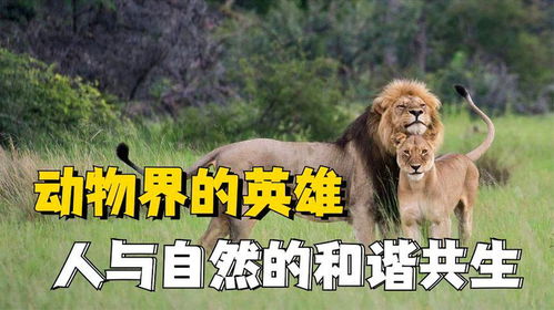 (人类与畜牲的区别)人类牧畜化世界：一部描绘人与动物共生关系的漫画作品