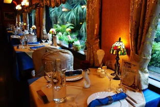 (探访动物美食街,发现精致美味的动物主题餐厅怎么写)探访动物美食街,发现精致美味的动物主题餐厅 (探访动物美食街,发现精致美味的动物主题餐厅怎么写)探访动物美食街,发现精致美味的动物主题餐厅