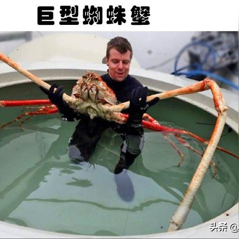 探索神奇水域进化的奥秘:揭示水下生态系统如何不断变迁与适应 探索神奇水域进化的奥秘:揭示水下生态系统如何不断变迁与适应