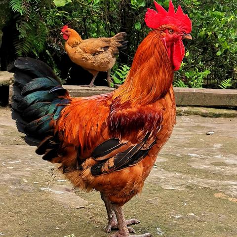 (代号世界百科)下载最新版本的代号·界安装包,享受全新功能和优化体验! (代号世界百科)下载最新版本的代号·界安装包,享受全新功能和优化体验!