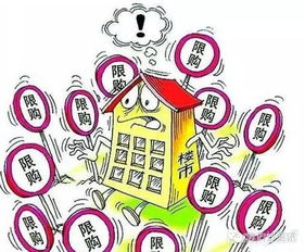 叶清眉是穿越的吗?揭秘历史背景与穿越迹象,引发读者思考与讨论 叶清眉是穿越的吗?揭秘历史背景与穿越迹象,引发读者思考与讨论