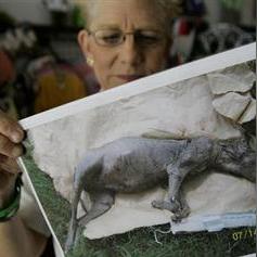 (日本妖怪单机游戏)探秘日本神秘世界：妖怪题材游戏大揭秘