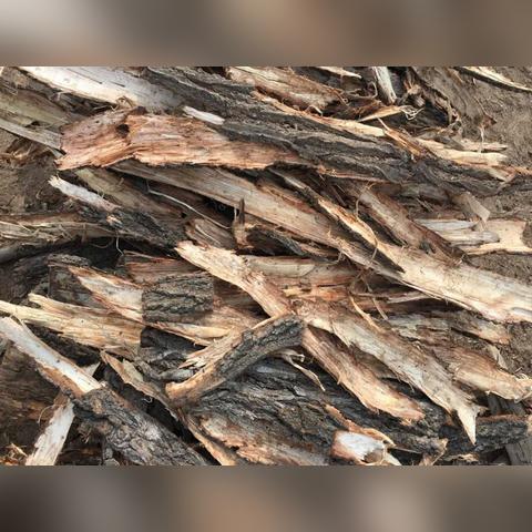 畅玩单机连连看经典版：带你重温童年时光，尽享休闲益智游戏的乐趣