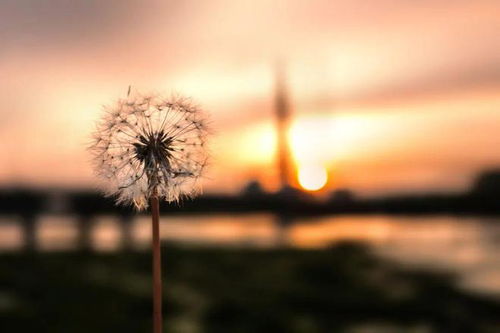 (从此踏上新的征程什么意思)从此处踏上世界的远征起点，追寻未知的旅程与无限可能