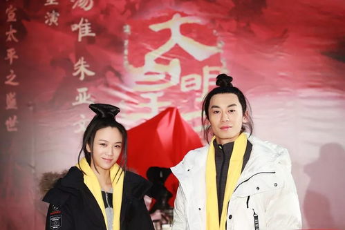 盛世明朝师绮华：一个传世功臣的壮丽人生与令人敬仰的成就