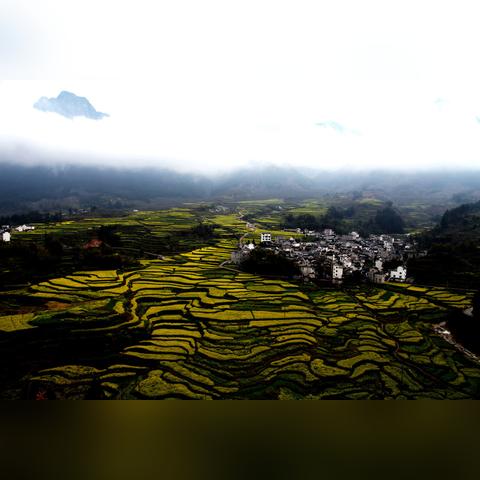 (醒时作品集)醒时春山暗示:生活中的每个瞬间都蕴藏着美好的可能性 (醒时作品集)醒时春山暗示:生活中的每个瞬间都蕴藏着美好的可能性
