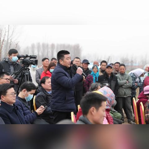 喵苏鲁侦探动画：融合悬疑与幽默的精彩热门动画系列引领观众进入神秘犯罪世界