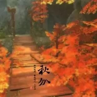 探讨‘无昼无夜’含义：当生活的节奏与传统的日夜划分脱节时我们应如何应对