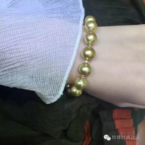 探析'本茶纲目'突然关服背后的原因，用户如何面对游戏的突然消失？