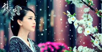 (千古风韵)千古风华：永恒的风采与魅力