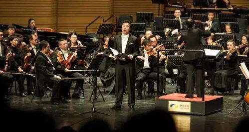 探寻古典乐男子内购版：品味经典音乐，感受贵族气质，打造专属音乐空间