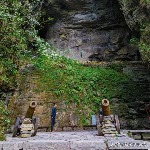 (刀尊境界)探讨境界刀鸣测试服下载及其影响因素