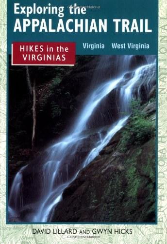 Exploring the Boundless Creativity of 3D Design Works