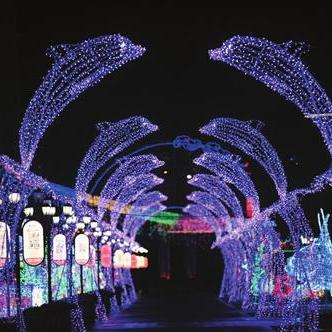 (梦幻家园困难关卡)梦幻家园的挑战之旅：关卡数量一览