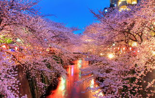 (落樱小屋百科)落樱小屋2官方正版：探寻幻想世界的奇妙之旅